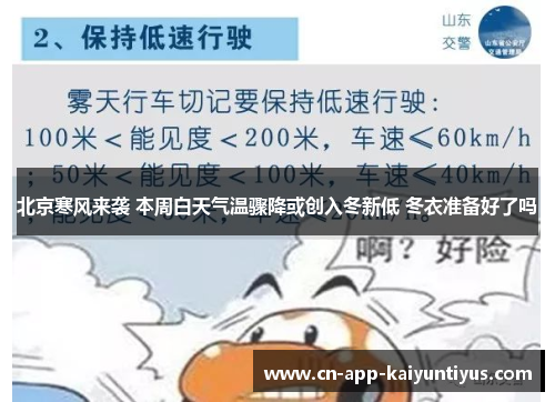 北京寒风来袭 本周白天气温骤降或创入冬新低 冬衣准备好了吗