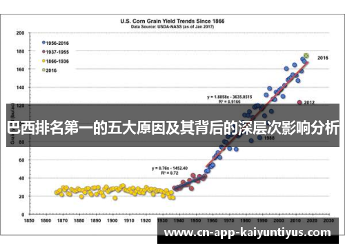 巴西排名第一的五大原因及其背后的深层次影响分析