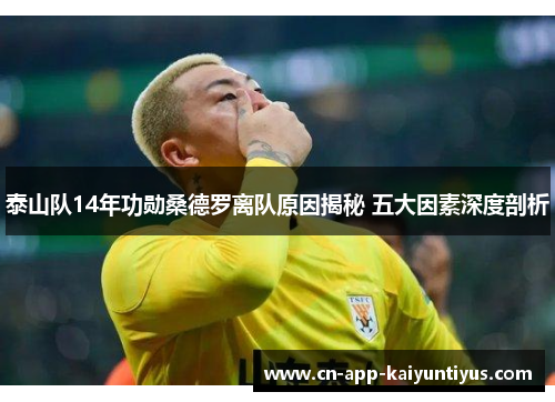 泰山队14年功勋桑德罗离队原因揭秘 五大因素深度剖析