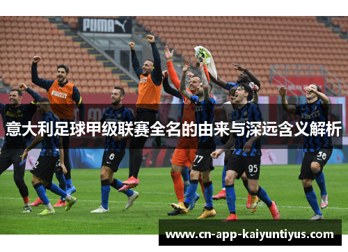 意大利足球甲级联赛全名的由来与深远含义解析