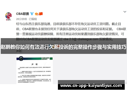 赵鹏教你如何有效进行欠薪投诉的完整操作步骤与实用技巧