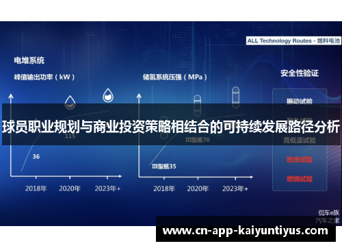 球员职业规划与商业投资策略相结合的可持续发展路径分析