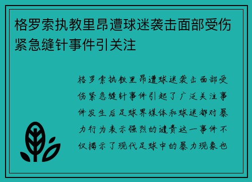 格罗索执教里昂遭球迷袭击面部受伤紧急缝针事件引关注